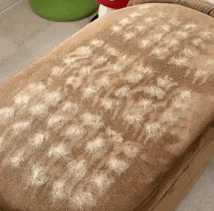 Magic Brush