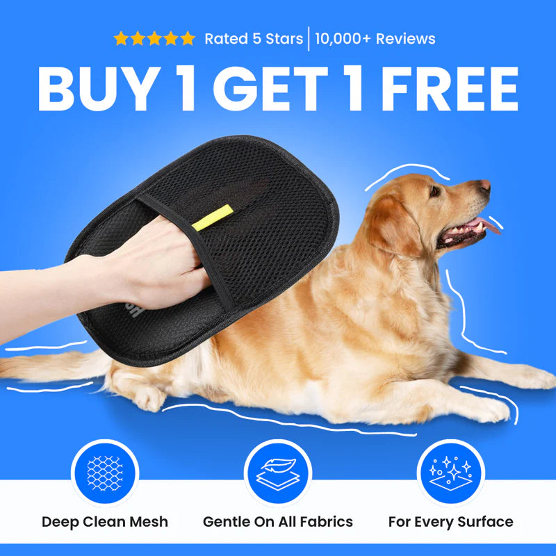 Magic Brush